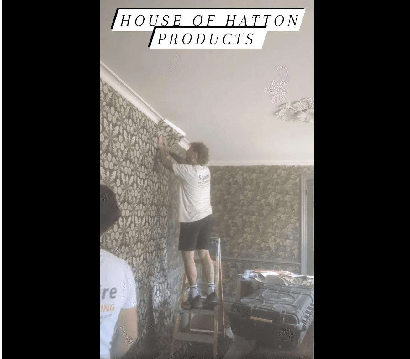 Decorator hanging green-and-cream botanical wallpaper, captioned 'House of Hatton products'.